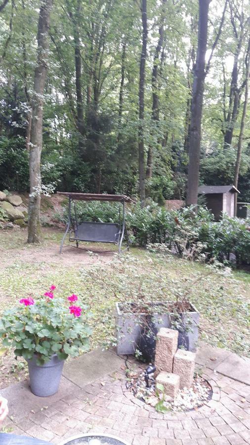 فيلا فاغينينغينفي Chalet Gem المظهر الخارجي الصورة